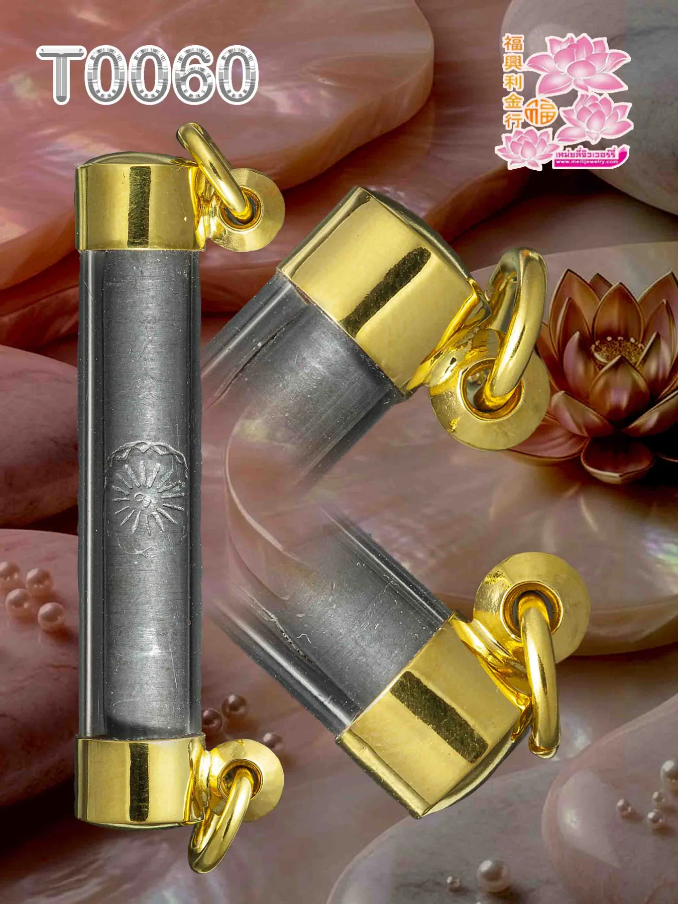 ฝาหัวจุกหัวท้าย 2 หูแนวนอน (ขัดมัน) - T0060