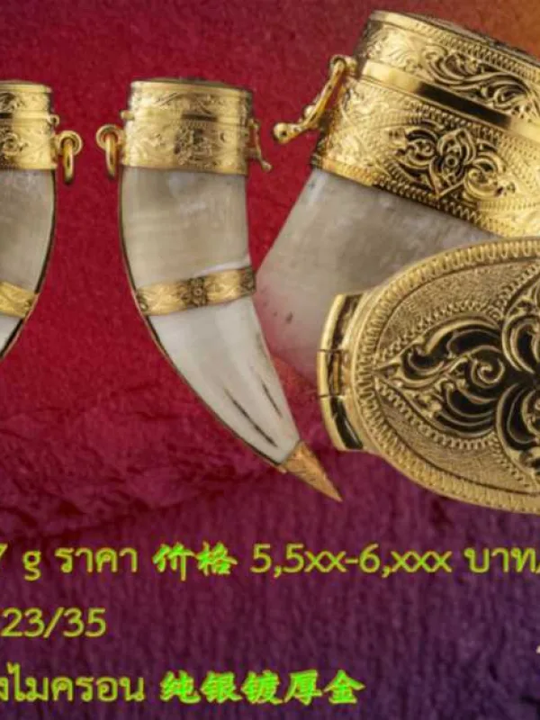 ตลับฝาครอบเขี้ยว ล็อกหัว+เอว+ก้น/เล็บเสือ/ตะกรุด - T0502